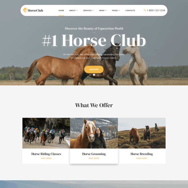 某动物俱乐部主题网站